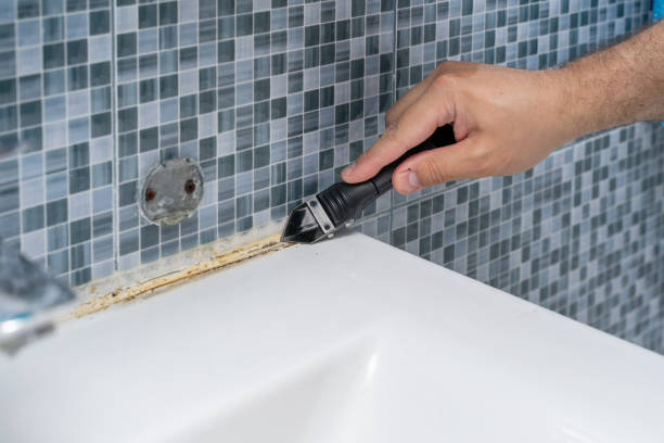 Best Black Mold Removal  in Florida, NY